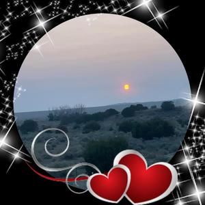 Meet your Posher, Rose